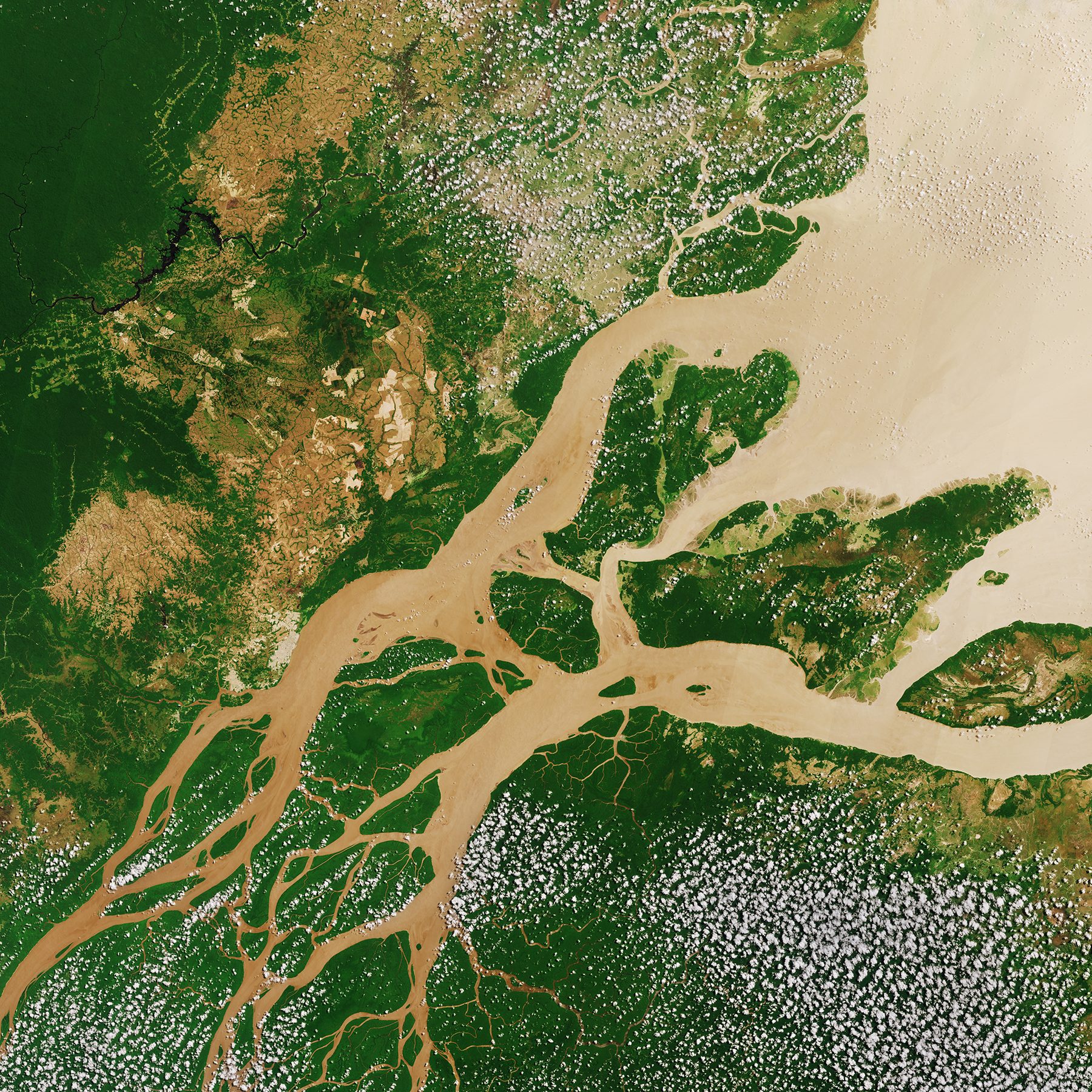 Grand Amazon Expedition