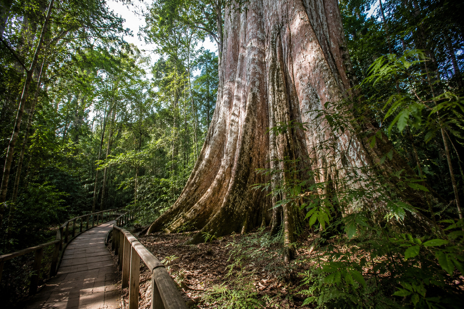 Turismo em Santa Rita do Passa Quatro: o que visitar, onde ficar e como planejar